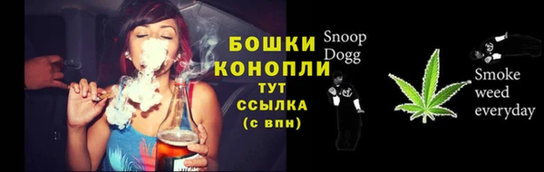 стафф Дмитровск