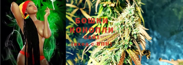 стафф Дмитровск