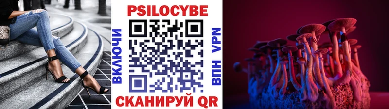 Галлюциногенные грибы MAGIC MUSHROOMS  Купить где  Нефтекумск 
